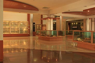 S. P. Nautiyal Museum S. P. Nautiyal Museum