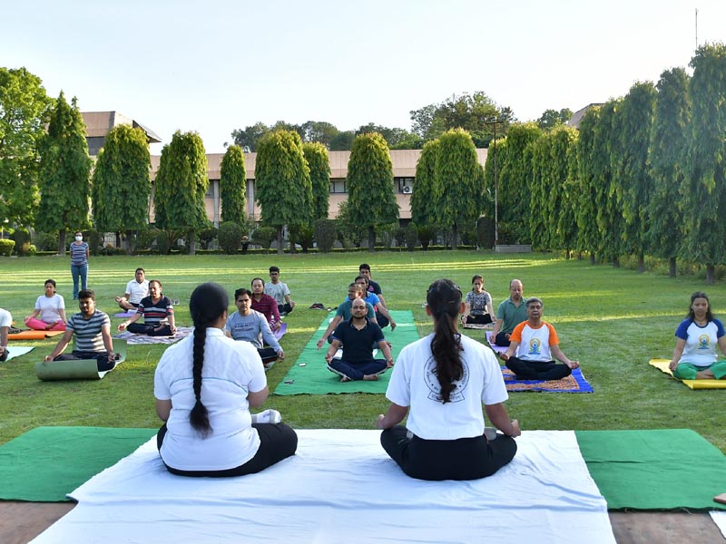  8th International Yoga day